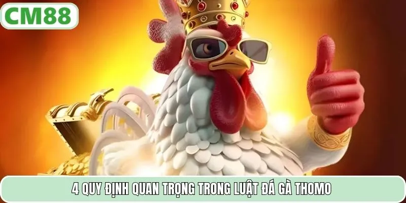 4 quy định quan trọng trong luật đá gà Thomo