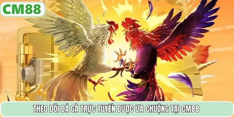 Theo dõi đá gà trực tuyến được ưa chuộng tại CM88